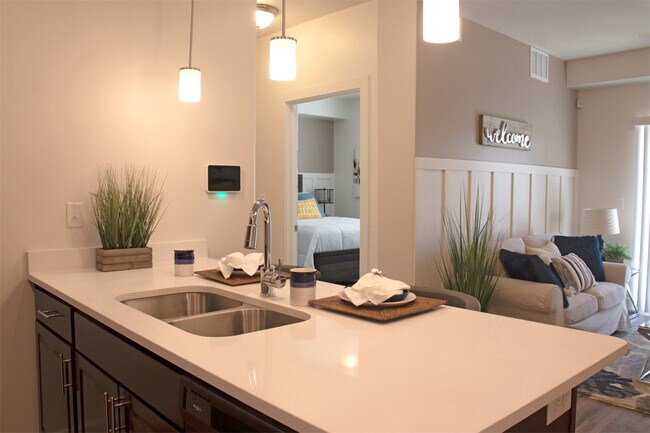 Adams Kitchen and Livingroom