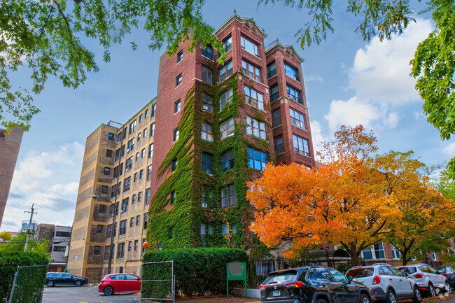 Building Photo - The Ivy Rental