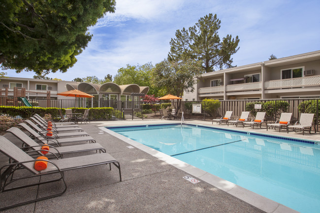 Resort-Style Pool 1 of 3