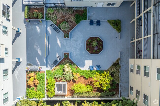 Guinevere Apartment Homes - Courtyard