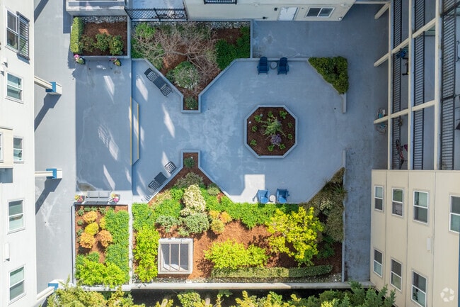 Guinevere Apartment Homes - Courtyard - Guinevere Apartment Homes