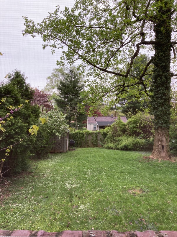 Photo - 727 Howard Rd