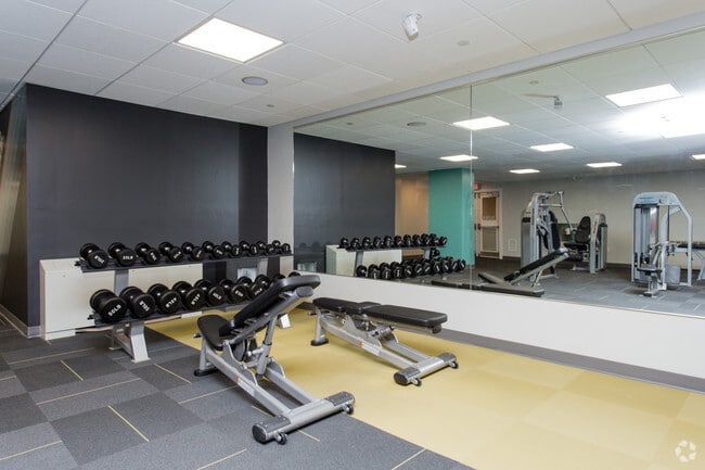 The Grid District Apartments For Rent in Worcester, MA