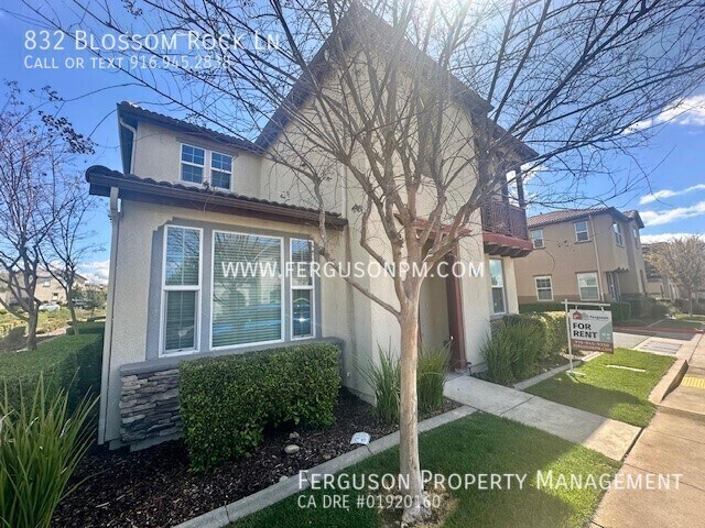 Photo - 832 Blossom Rock Ln