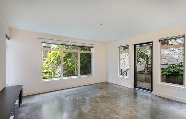 Lots of windows in living room! - 1610 Belmont Ave Unit 213
