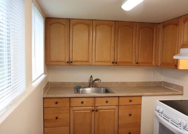 Tons of space for storage and cooking! - Horizon Park
