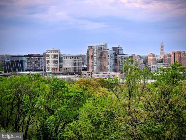 Photo - 5903 Mt Eagle Dr Unidad 802