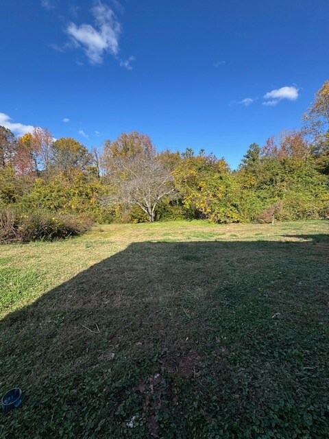 Photo - 204 Brisco St