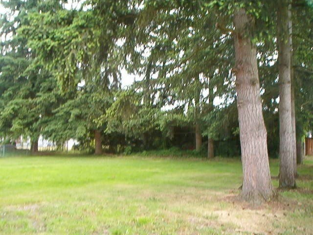 Photo - 3 bedroom 2 Bath All New and Upgraded Easy Access to Shops & Frwy $2900 a Month.