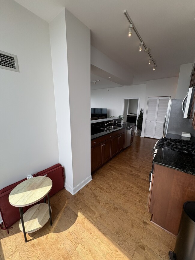 1201 S Prairie Ave Unit 4206