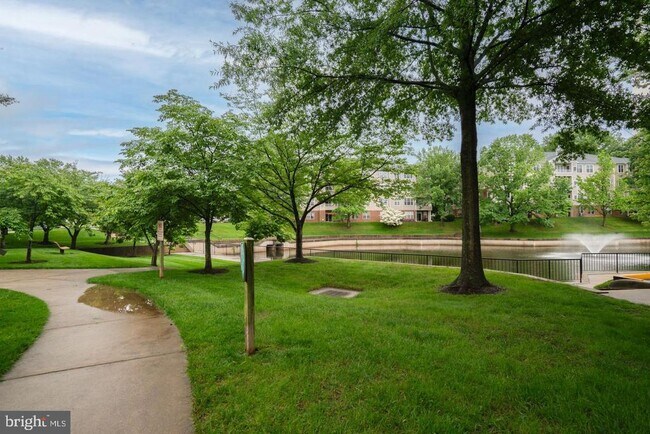 Photo - 4330 Cannon Ridge Ct Unidad 31