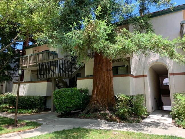 Building Photo - 605 San Conrado Terrace Rental