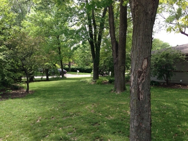 Photo - West Lafayette Schools Single Family Home Large Spacious 4 bedroom/2bath