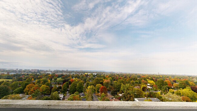 Forest Ridge