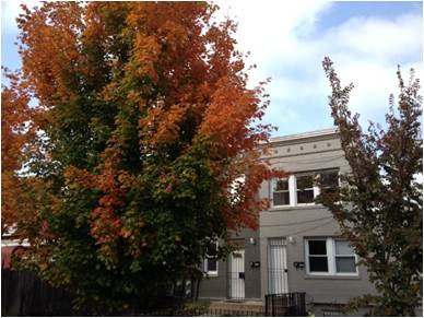 Outside entrance - 1504 A St NE