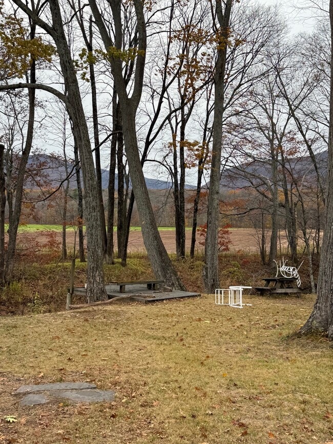 Back Yard - 4387 NY-32