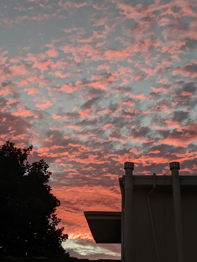 Bedrooms face west for some great sunsets - 138 S Bryn Mawr St Unit 30