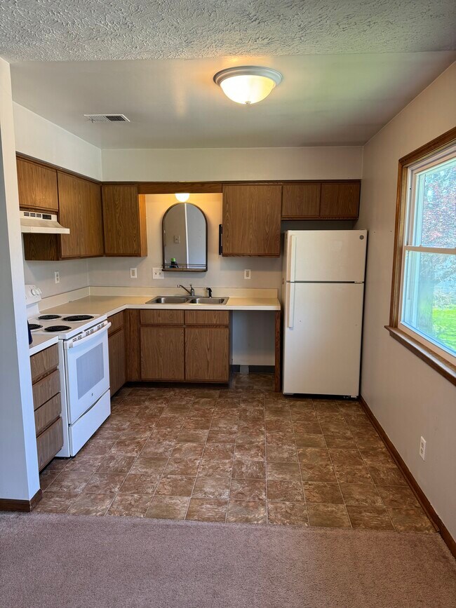 Kitchen - 308 N Emmons St Apartments Unit 3