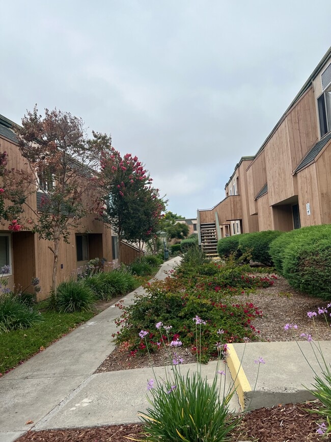 Building Photo - 8733 Lake Murray Blvd Unit 8 Rental