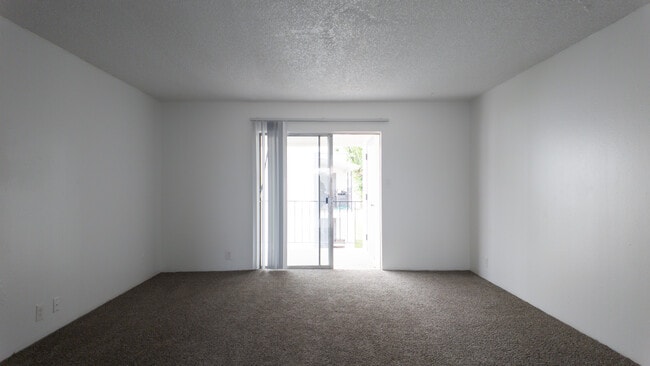 Photo - Centurion Pearl