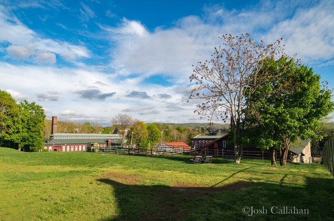 Auburn Station's Back Yard