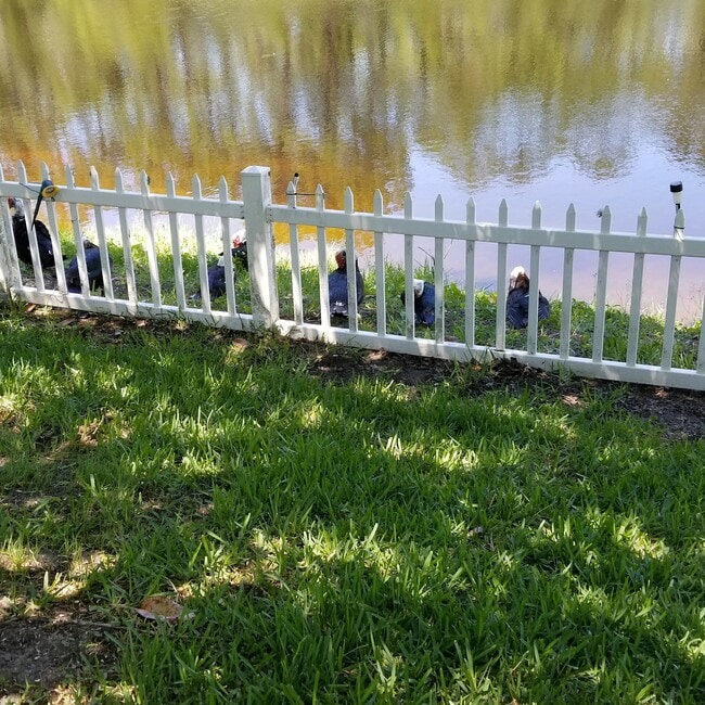 Photo - 237 N Hidden Tree Dr