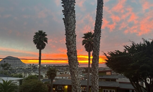 Photo - 2560 Juniper Ave