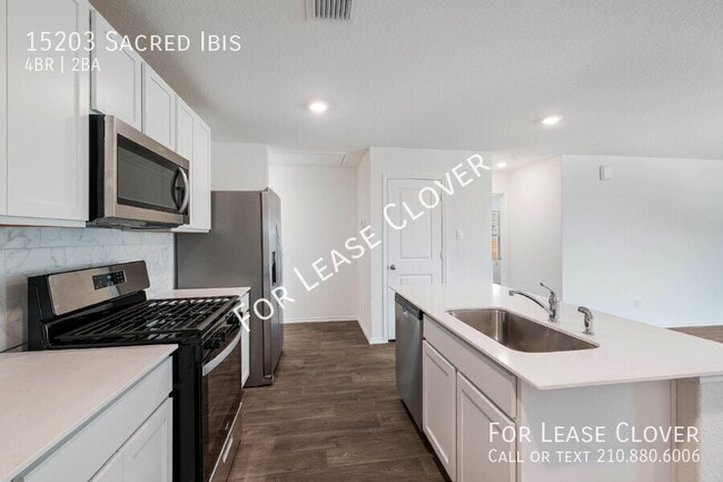 Photo - 15203 Sacred Ibis