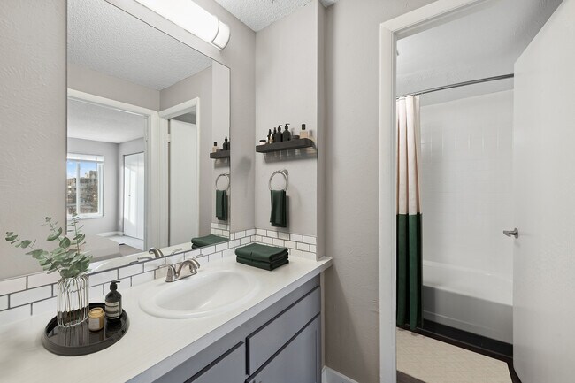 1BR x 1BA with North or South View- Bathroom