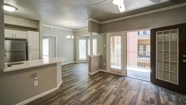 Photo - Meyer Forest