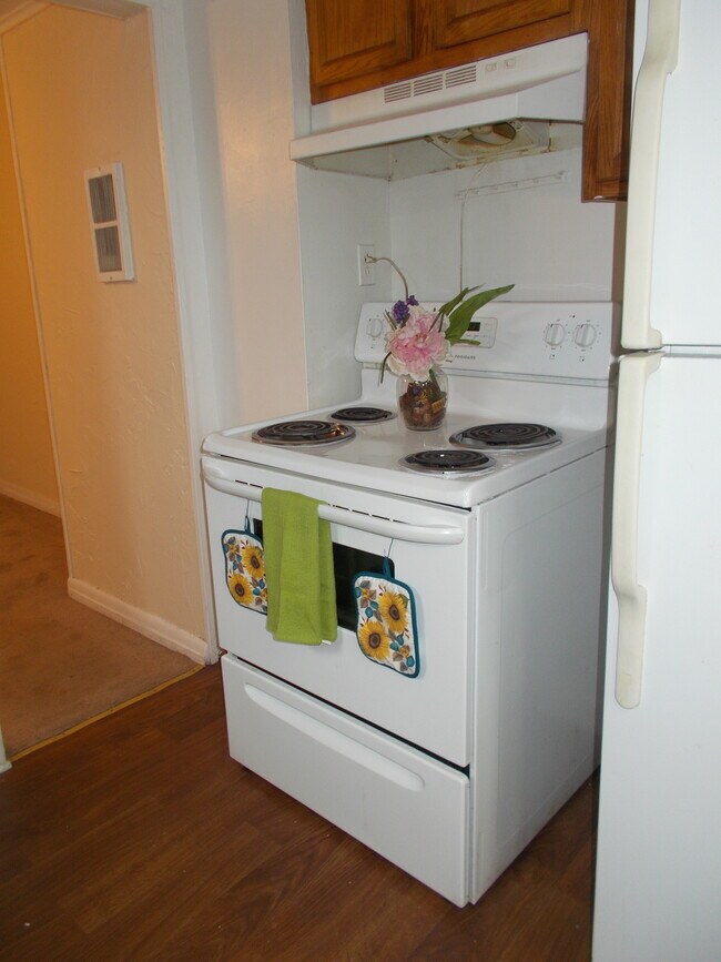 Photo - 49 Talbott St