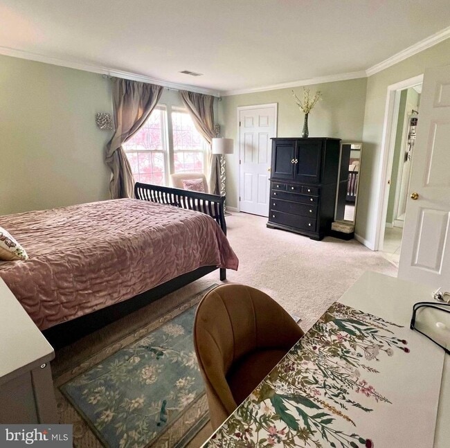 Building Photo - 25278 Boldness Ct