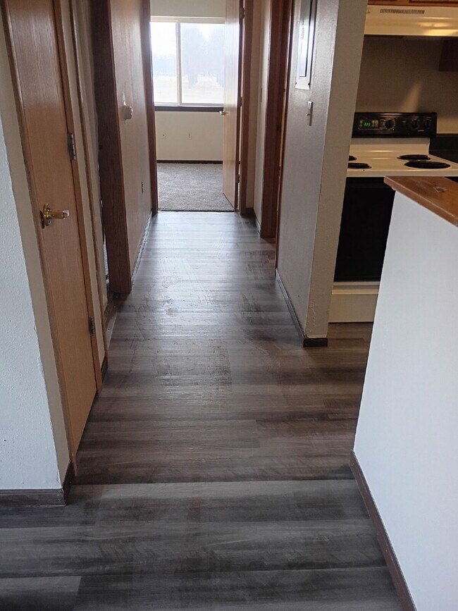 Photo - 1 Bedroom |1 Bathroom 1st Floor Unit in Oelwein - Available June! Unit 14