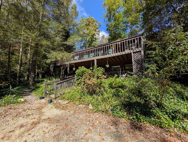 Photo - Furnished Montreat Basement Apartment! - U...