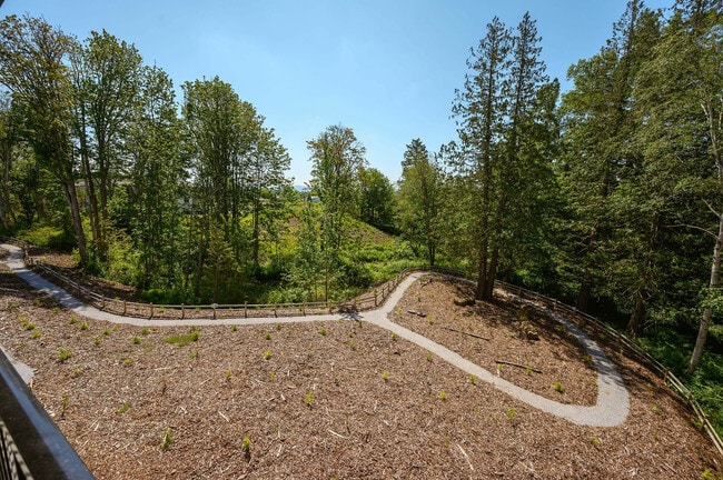 Walking trails along the creek and wetland views.