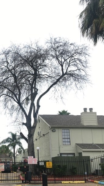 Building Photo - 8714 Village of Fondren Unit 8714