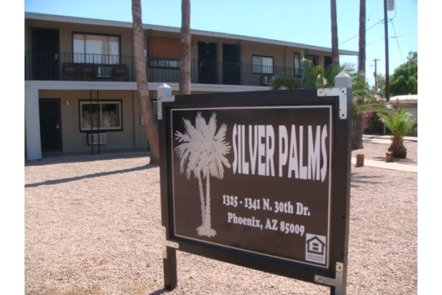 Photo - Silver Palms