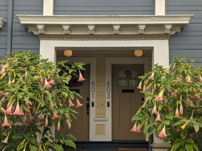 Entry Trumpet Vines - 601 63rd St Condo Unit 601 63rd Street