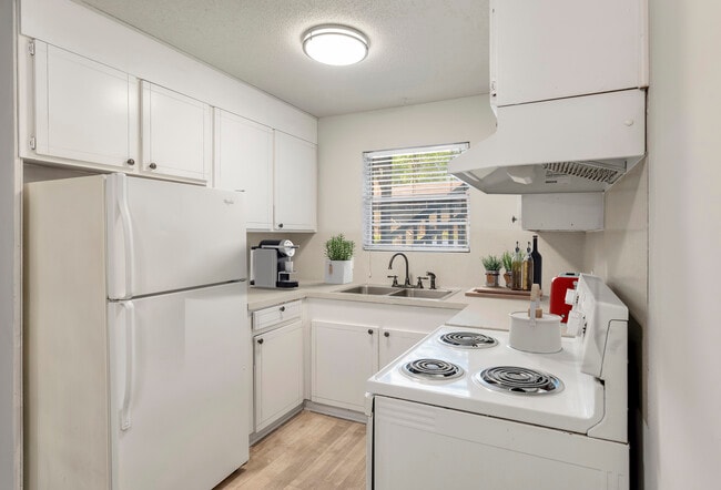 Photo - The Montana Apartments