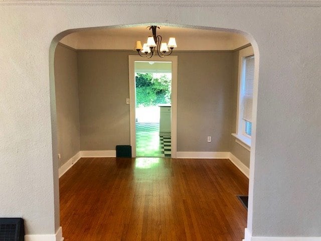 Photo - Madrona Charmer!