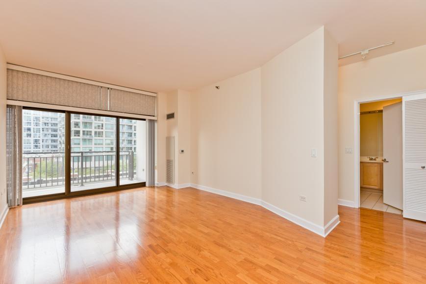 1 bedroom in Chicago IL 60605 - 1 bedroom in Chicago IL 60605
