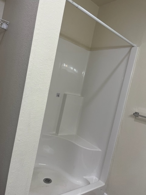 Master Bathroom shower