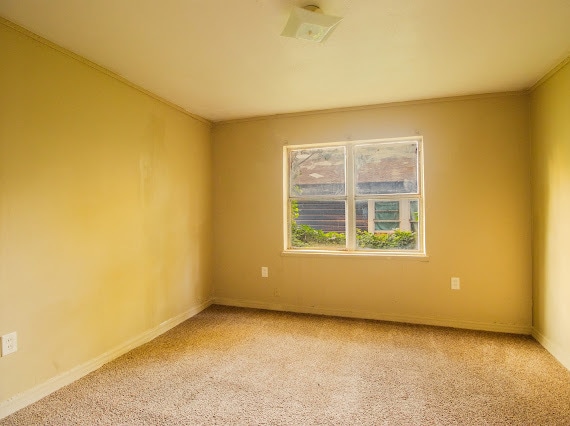 Photo - 824 42nd Pl N