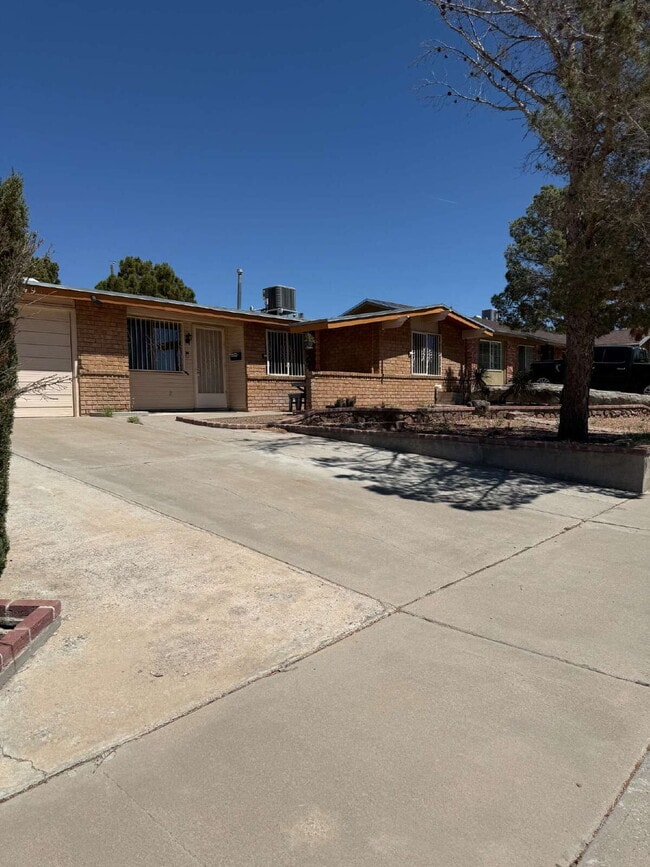 Photo - 10449 Chinaberry Dr