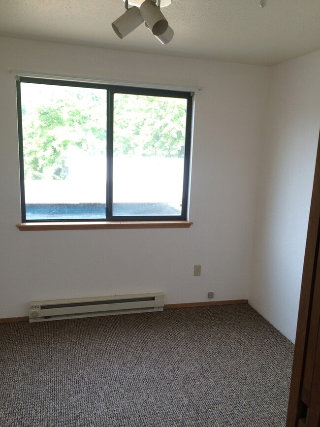 Photo - 4 Bedroom Home Under Radio Hill