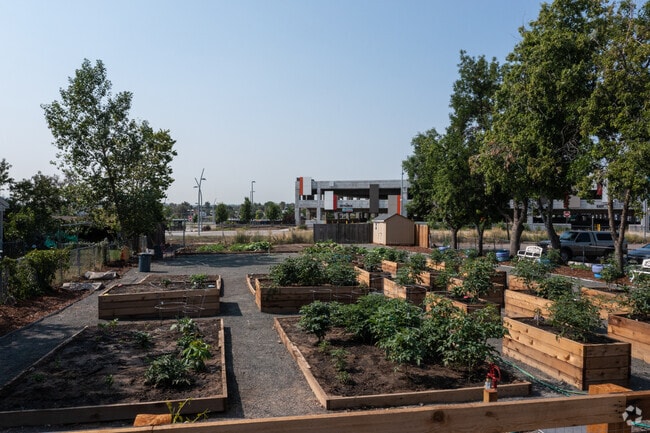 Community Garden - Terrace Gardens