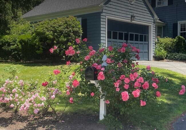 Photo - 46 Bowden Ave