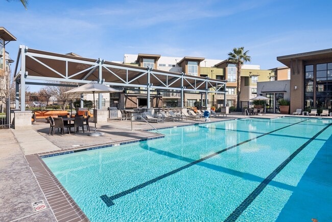 Aspire Apartments Tracy California Luxury Living A large swimming pool in front of a building with palm trees.