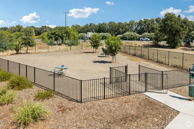 Dog Park