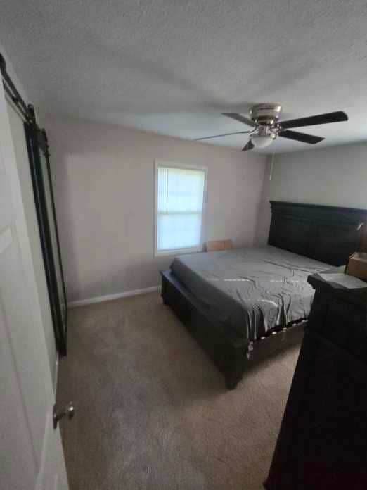 Photo - 331 Beech Island Ave